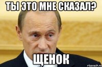 ты это мне сказал? щенок