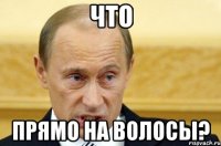 что прямо на волосы?