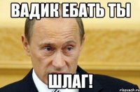 вадик ебать ты шлаг!