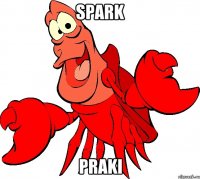 spark praki