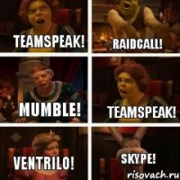 TeamSpeak! Raidcall! Mumble! TeamSpeak! Ventrilo! Skype!