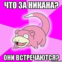 что за никана? они встречаются?