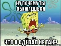 ну почему ты обижаешься что я сделал не так?