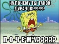 ну почему ты такой дурачок??? п-о-ч-е-м-у???