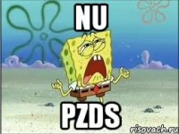 nu pzds