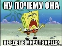 ну почему она не едет в миротворец?