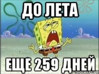 до лета еще 259 дней