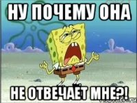 ну почему она не отвечает мне?!