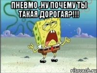 пневмо ,ну почему ты такая дорогая?!!! 