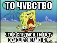 то чувство что в следующем году сдаешь экзамены...