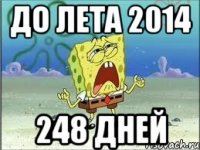 до лета 2014 248 дней