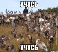 учусь учусь