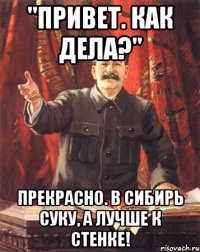 "привет. как дела?" прекрасно. в сибирь суку, а лучше к стенке!