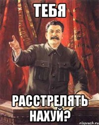 тебя расстрелять нахуй?