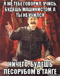 я же тебе говорил, учись, будешь машинистом, а ты не учился ничего, будешь лесорубом в тайге