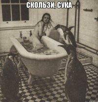 скользи, сука 