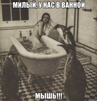 милый, у нас в ванной мышь!!!