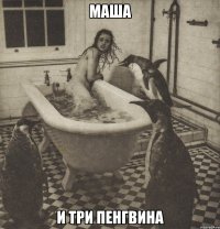 маша и три пенгвина