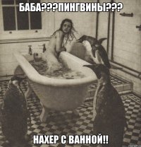 баба???пингвины??? нахер с ванной!!