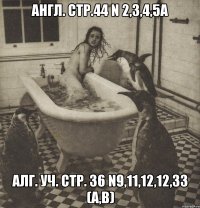 англ. стр.44 n 2,3,4,5a алг. уч. стр. 36 n9,11,12,12,33 (a,b)