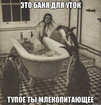 это баня для уток тупое ты млекопитающее