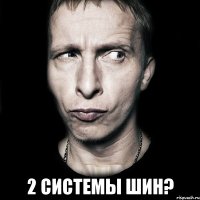  2 системы шин?