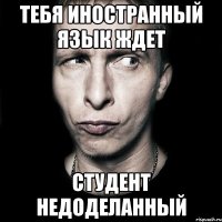 тебя иностранный язык ждет студент недоделанный