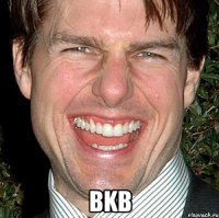  bkb