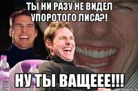 ты ни разу не видел упоротого лиса?! ну ты ващеее!!!