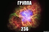 группа 236