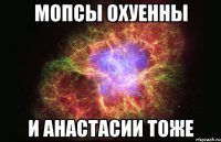 мопсы охуенны и анастасии тоже