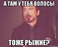 а там у тебя волосы тоже рыжие?