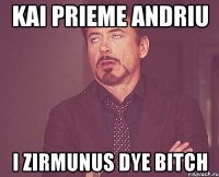 kai prieme andriu i zirmunus dye bitch