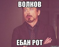 волков ебан рот