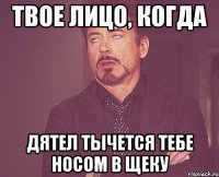 твое лицо, когда дятел тычется тебе носом в щеку