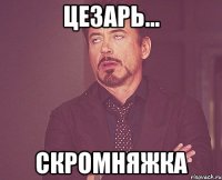 цезарь... скромняжка