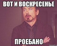 вот и воскресенье проебано