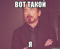 вот такой я