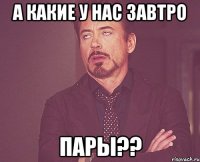 а какие у нас завтро пары??