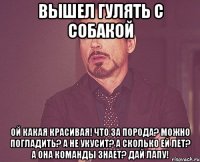 вышел гулять с собакой ой какая красивая! что за порода? можно погладить? а не укусит? а сколько ей лет? а она команды знает? дай лапу!