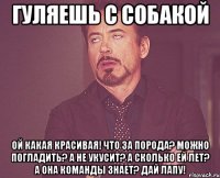 гуляешь с собакой ой какая красивая! что за порода? можно погладить? а не укусит? а сколько ей лет? а она команды знает? дай лапу!