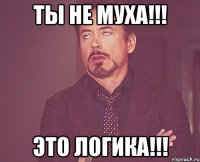 ты не муха!!! это логика!!!