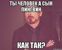 ты человек а сын пингвин как так?