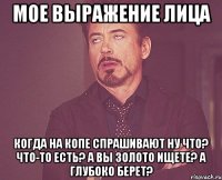 мое выражение лица когда на копе спрашивают ну что? что-то есть? а вы золото ищете? а глубоко берет?