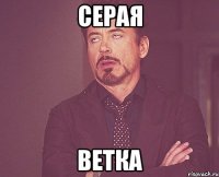 серая ветка