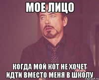 мое лицо когда мой кот не хочет идти вместо меня в школу