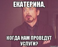 екатерина, когда нам проведут услуги?