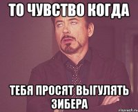 то чувство когда тебя просят выгулять зибера