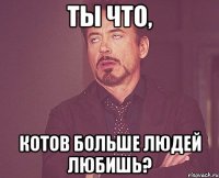 ты что, котов больше людей любишь?