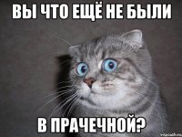 вы что ещё не были в прачечной?